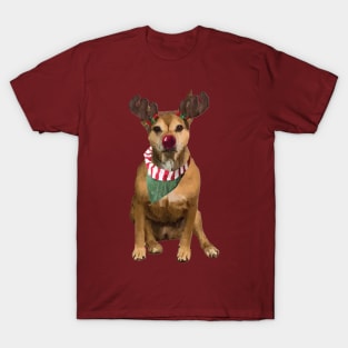 Dog with Reindeer Antlers T-Shirt